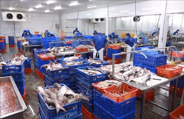 Banks asked to consider solving financial difficulties of fishery businesses ảnh 1