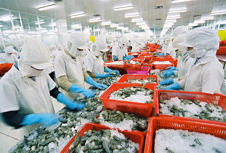 More investment needed in agriculture logistics services ảnh 2