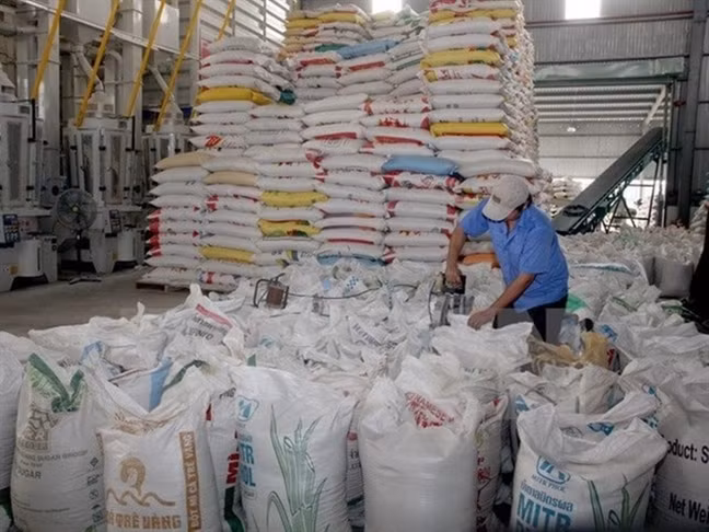 PM requests promoting rice production, export ảnh 1 PM requests promoting rice production, export ảnh 1