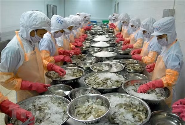 Aquatic product exporters hope for recovery in remaining months ảnh 1