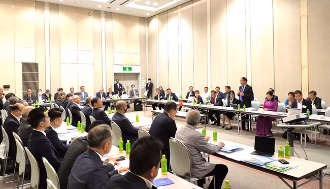 Binh Dinh province calls for more Japanese investment ảnh 1