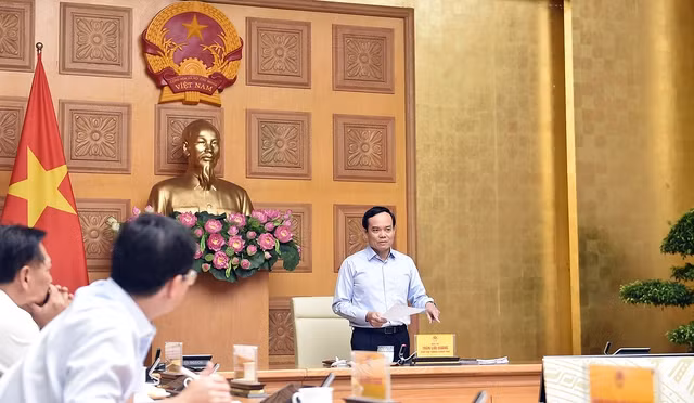 Over 9 trillion VND needed for protection and exploitation of aquatic resources ảnh 1