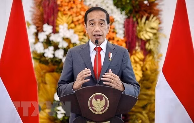 Indonesia continue reshuffling cabinet ảnh 1