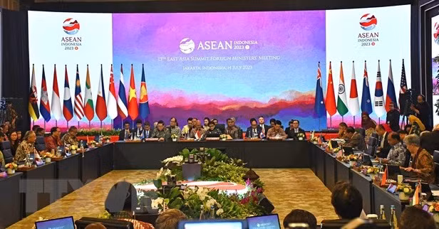 Foreign Minister Bui Thanh Son busy at AMM-56 ảnh 1