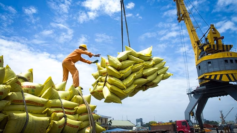 Market diversification crucial for rice sector: Experts ảnh 1