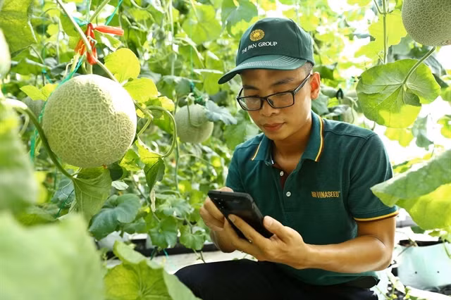 Vietnam must train people in agriculture to improve productivity, competitiveness ảnh 1