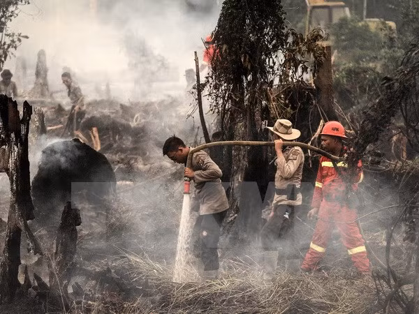 Indonesia: Haze from forest fires affects aviation activities ảnh 1 Indonesia: Haze from forest fires affects aviation activities ảnh 1