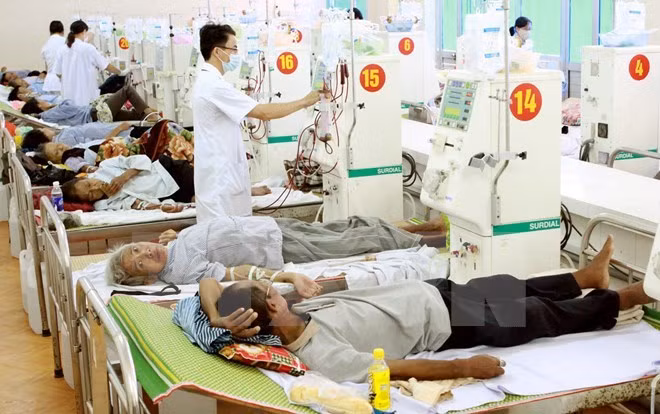 Telemedicine taps HCM City doctors’ expertise ảnh 1
