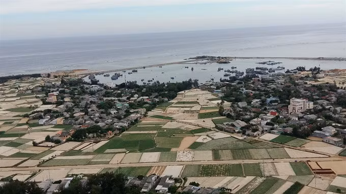Ly Son Island to have new night market ảnh 1