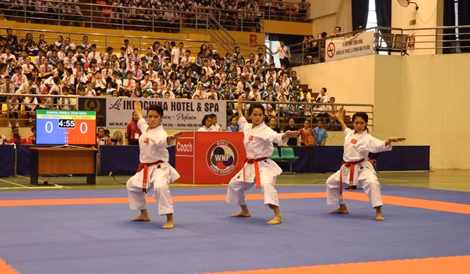 Vietnam wins 29 golds at regional karate tourney ảnh 1