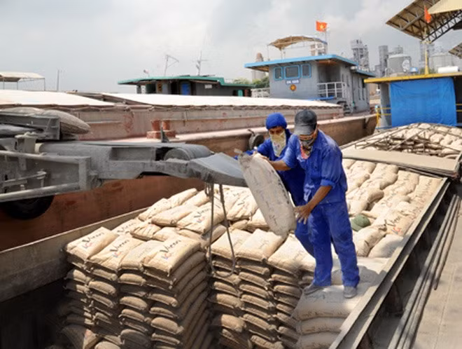 Cement exports surge as China’s production drops ảnh 1