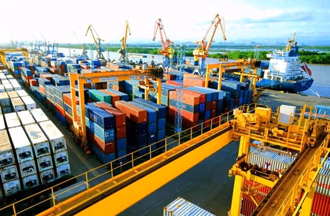 Logistic firms advised to step up application of technology ảnh 1