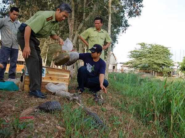 Measures taken to preserve biodiversity in U Minh Thuong National Park ảnh 1 Measures taken to preserve biodiversity in U Minh Thuong National Park ảnh 1