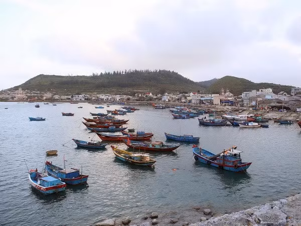 Quang Ngai prevents illegal fishing in foreign waters ảnh 1