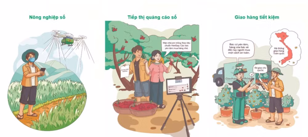 E-handbook promotes digital transformation from grassroots level ảnh 1