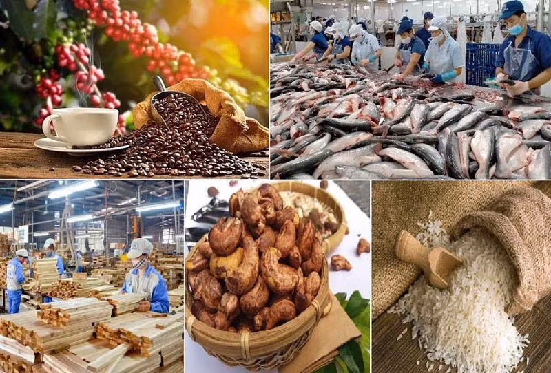 Agro-forestry-aquatic exports up 79% in January ảnh 1