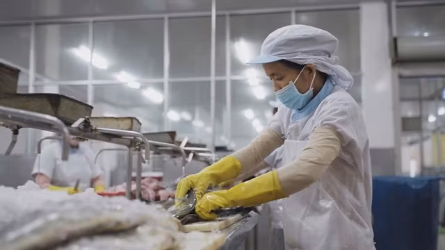 Seafood exports enjoy bright prospects in Swiss market ảnh 1