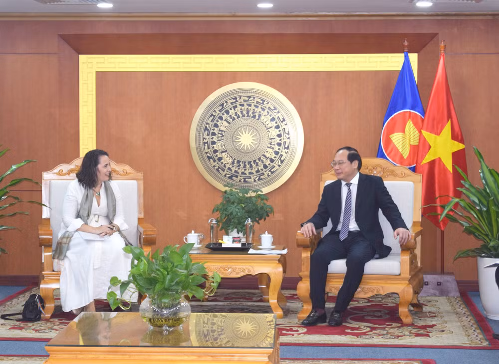 Vietnam, New Zealand cooperate effectively in climate change responses ảnh 1