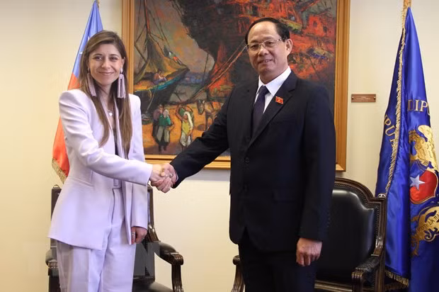 Chile a potential export market: Diplomat ảnh 3