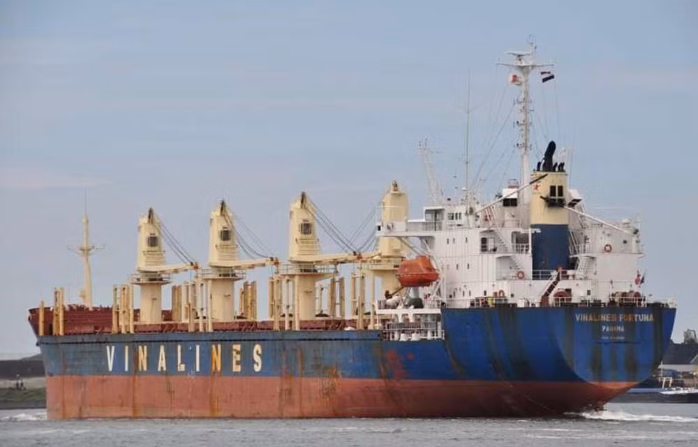 Vinalines thrives thanks to restructuring ảnh 1
