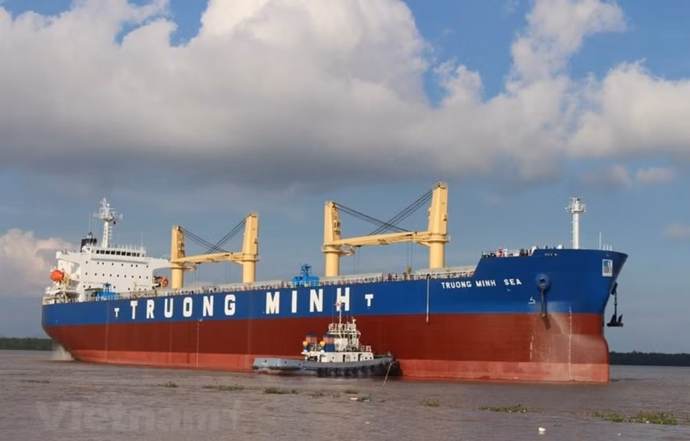 Solutions needed for domestic shipping fleet to win market ảnh 1
