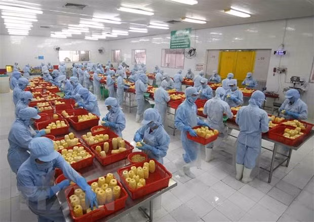 Vietnam’s exports to Hungary on the rise ảnh 1