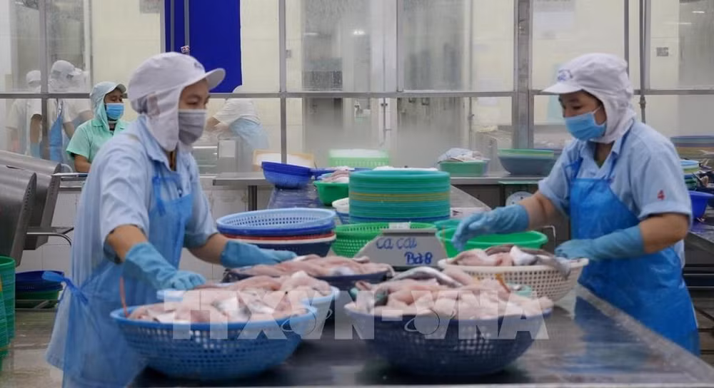 Vietnam’s aquatic product exports to China to grow this year: official ảnh 1