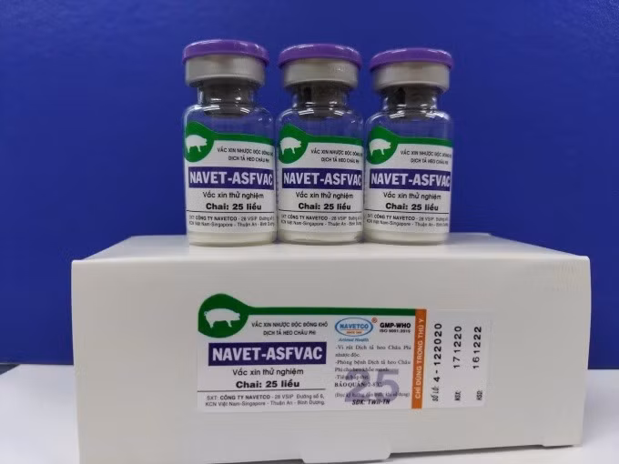 Two more African swine fever vaccines to be licensed in Vietnam by year-end ảnh 1