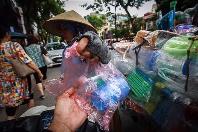 HCM City strives to end production, import of single-use plastics ảnh 1