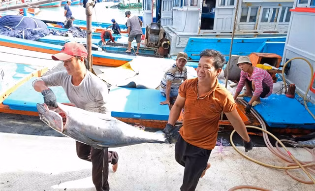 Community-based groups help prevent illegal fishing ảnh 1