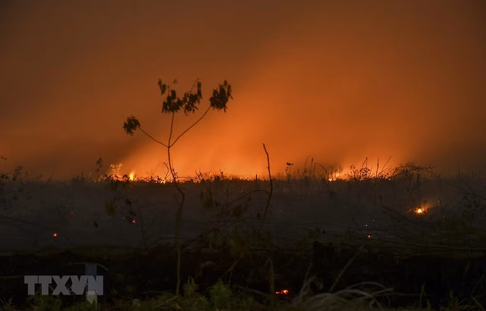 Haze from forest fires in Indonesia speads to neighbouring countries ảnh 1