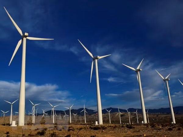 Vietnam develops renewable energy ảnh 1