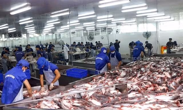Tra fish companies see stock prices plummet ảnh 1