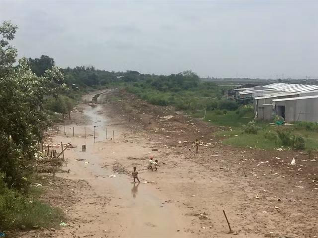 Mekong Delta needs urgent measures to prevent drought, saline intrusion ảnh 1 Mekong Delta needs urgent measures to prevent drought, saline intrusion ảnh 1