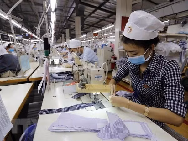 Nearly 100,000 enterprises established in eight months ảnh 1