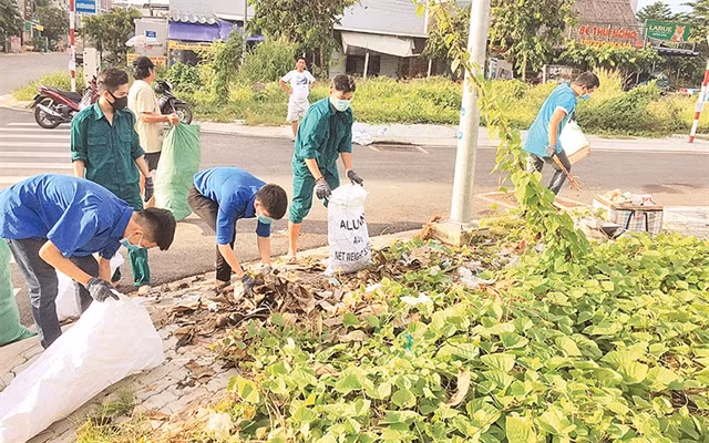 HCM City reaches 12 of 18 pollution-reduction goals ảnh 1