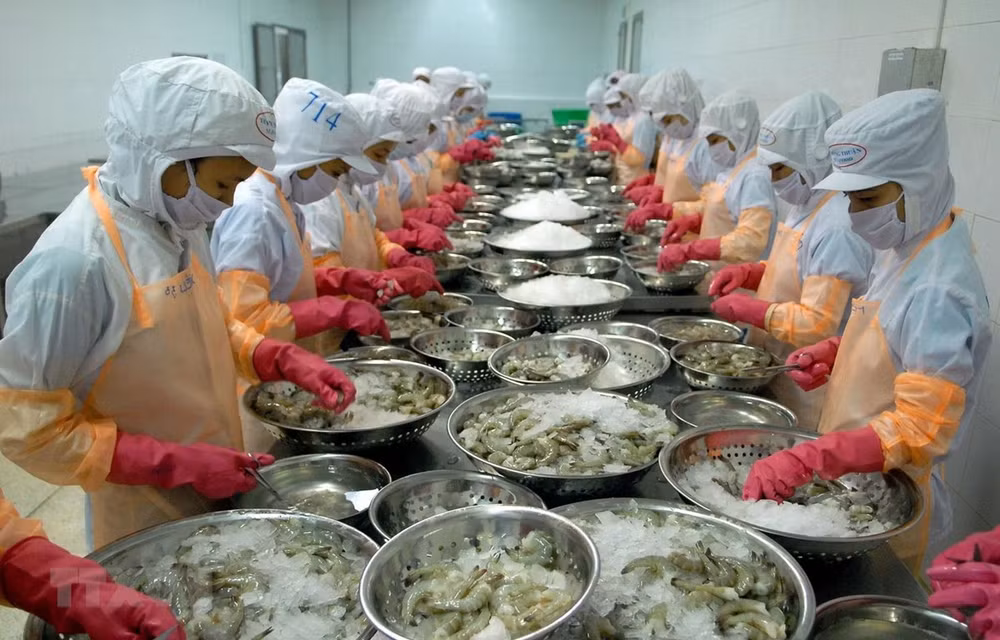 Fisheries targeted to become major production industry ảnh 1