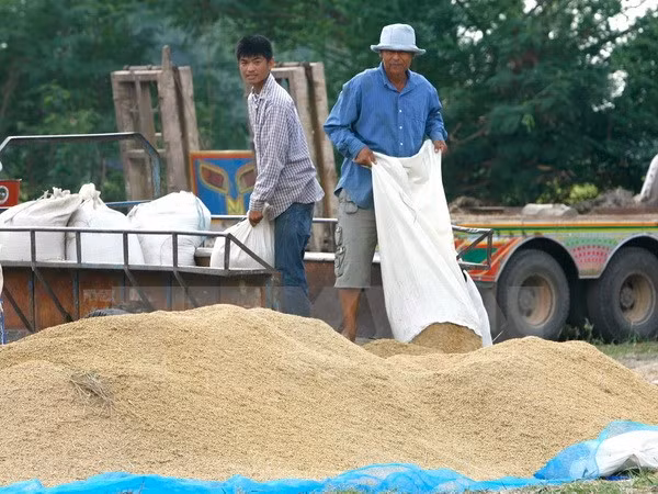 Thailand suspends rice auctions ảnh 1