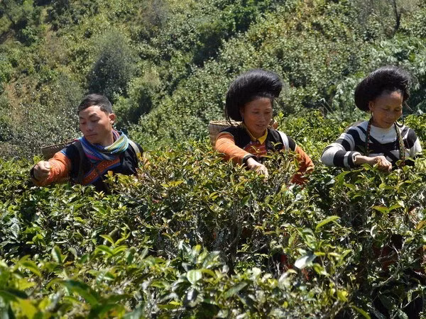 New projects to reduce poverty in Cao Bang, Bac Kan ảnh 1 New projects to reduce poverty in Cao Bang, Bac Kan ảnh 1