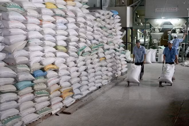 Philippines to import more rice from Vietnam ảnh 1