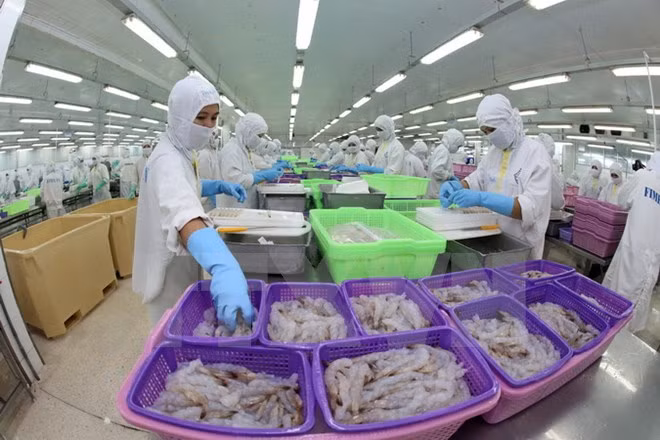 EU businesses seek cooperation opportunities in Vietnam ảnh 1