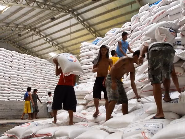 Philippines to import more rice from Vietnam ảnh 1