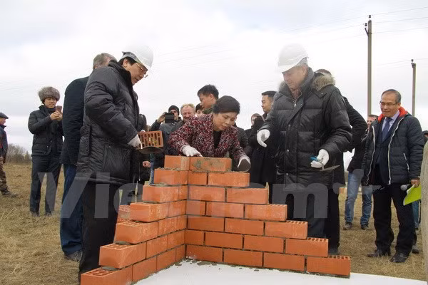 Work starts on TH True Milk complex in Russia ảnh 1