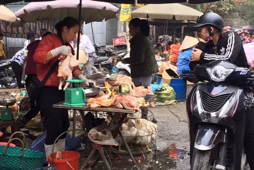 Bird flu outbreak casts pall over Tet ảnh 1
