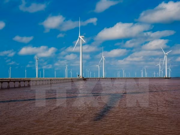 More firms register investment in renewable energy in Bac Lieu ảnh 1