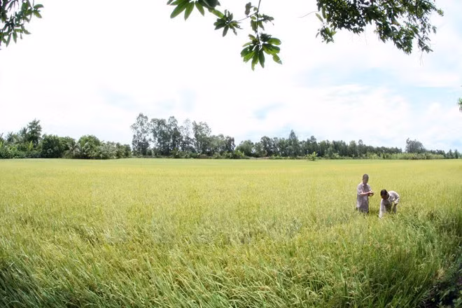Thua Thien-Hue works hard on new rural development ảnh 1 Thua Thien-Hue works hard on new rural development ảnh 1