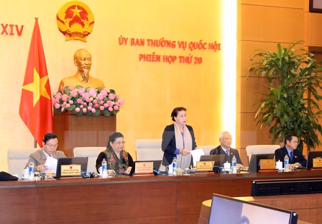 National Assembly Standing Committee’s 20th session opens ảnh 1