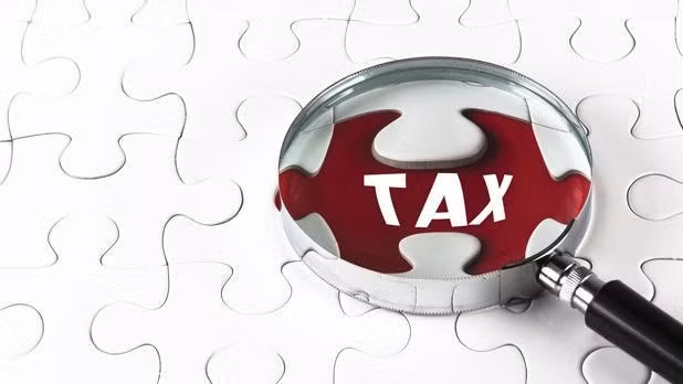 Big companies fined for tax avoidance ảnh 1