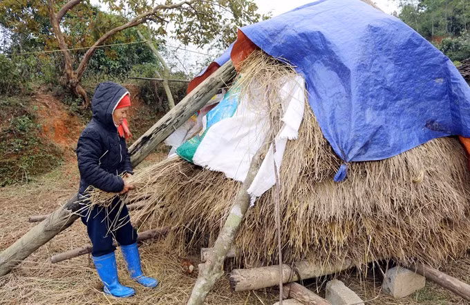 Cold weather hits northern provinces ảnh 1