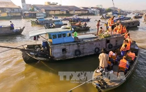 Can Tho city welcomes 7.5 million tourists in 2017 ảnh 1